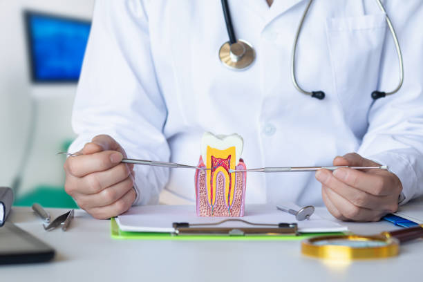 Best Emergency Dentist for Special Needs Patients in Franklin, TX